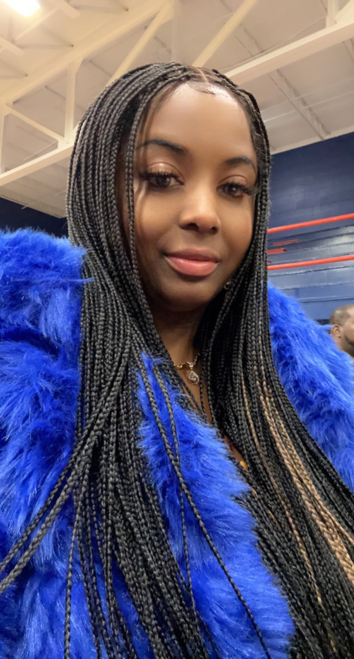 40” small knotless braid wig